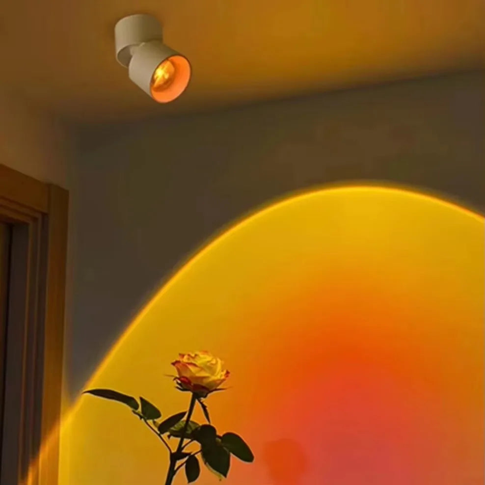 Sunset Spotlight
